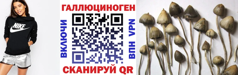 Псилоцибиновые грибы MAGIC MUSHROOMS  Александровское 